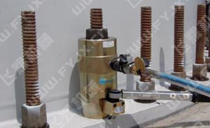 L(fng)늌˨F(xin)(yng)